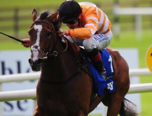 Covert Love QPAT’de birinci!