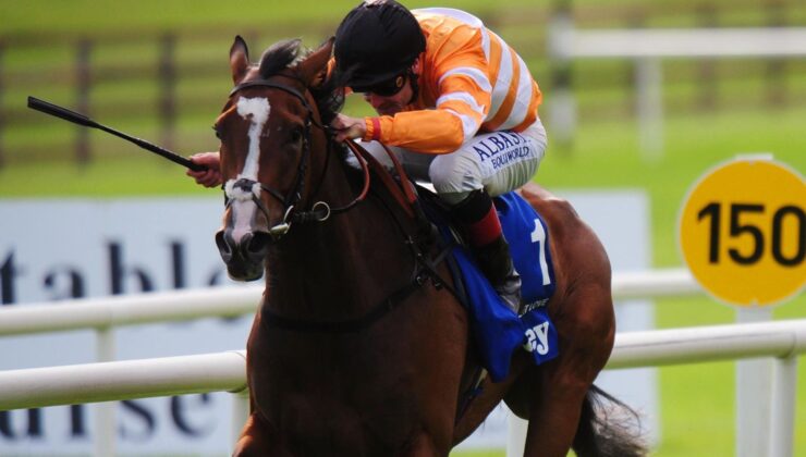 Covert Love QPAT’de birinci!