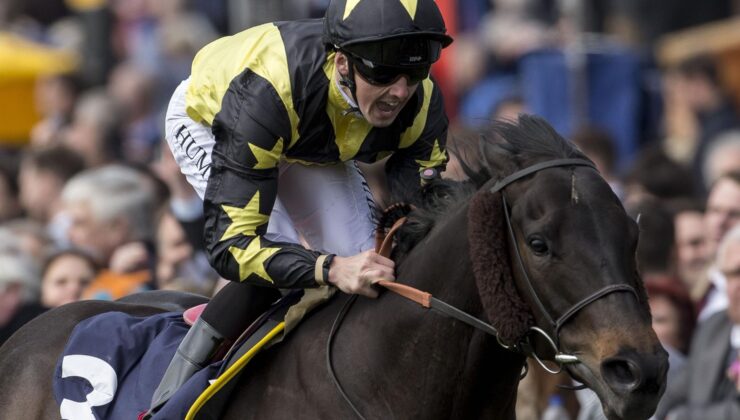 Goldream Longchamp’da birinci!