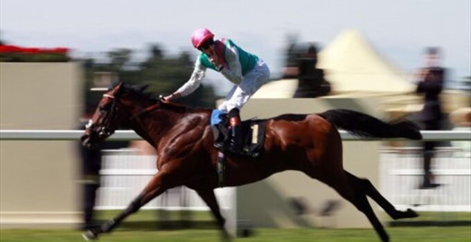 Prince Gibraltar Longines Grosser Preis von Baden'de zirvede