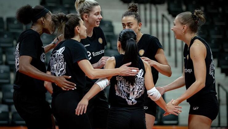 Eczacıbaşı Dynavit, Şampiyonlar Ligi sahnesinde